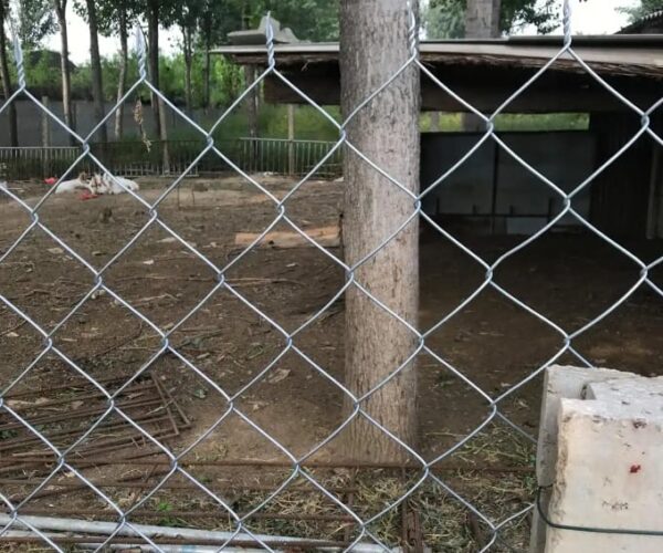 Structural design characteristics of mesh fence