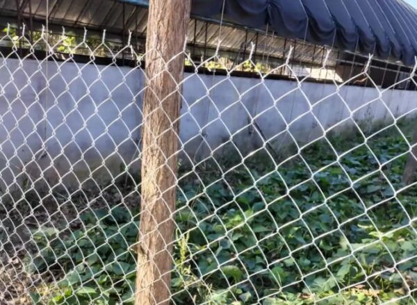 How do you choose a safety mesh or barrier netting?